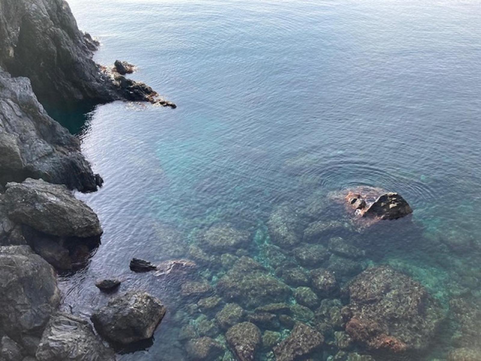Pippo Cosy Studio Flat With Ac Monterosso al Mare Esterno foto
